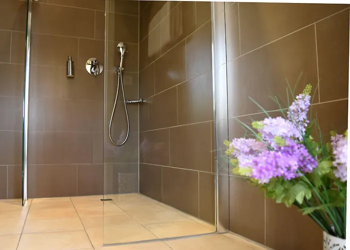 ホテル Xii アポステル アルベルゴ ケルン